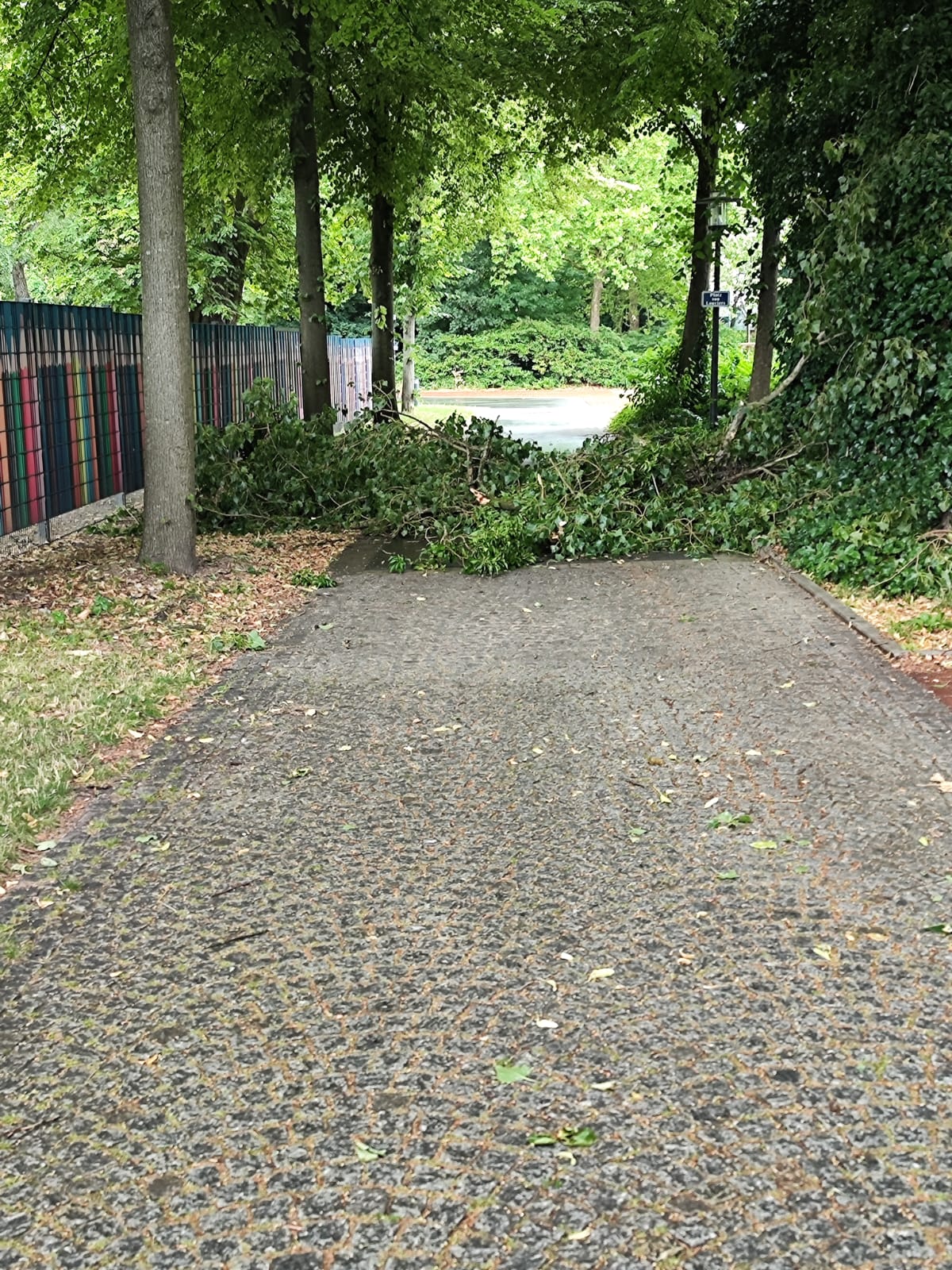 Sturmeinsatz Sturmeinsatz