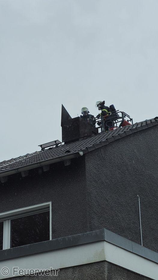 Feuer Feuer